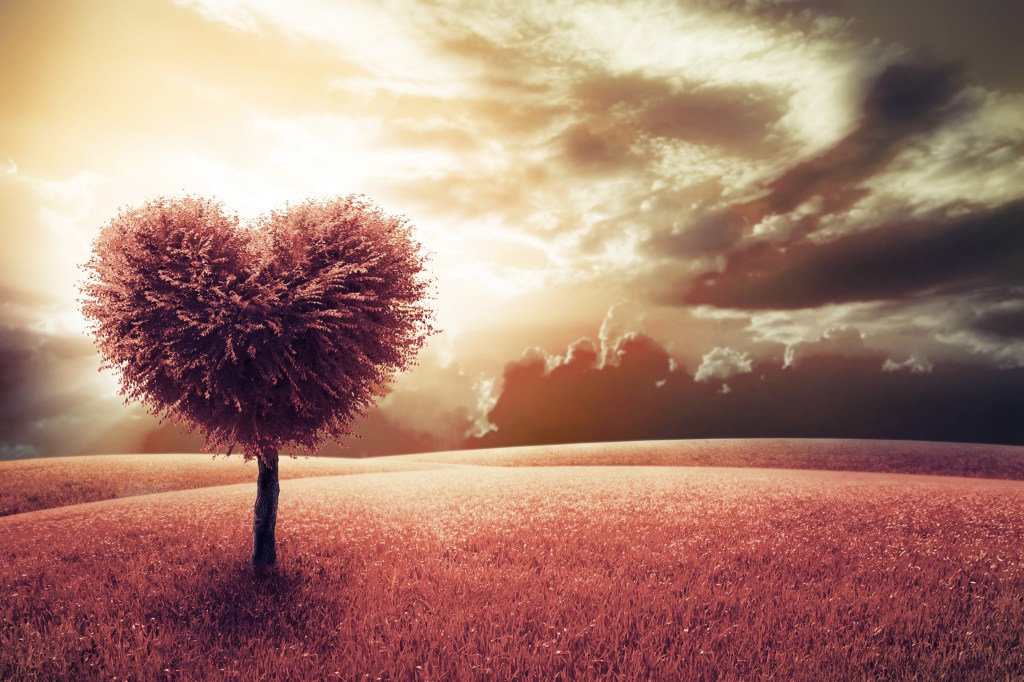 Happy Valentine’s Day